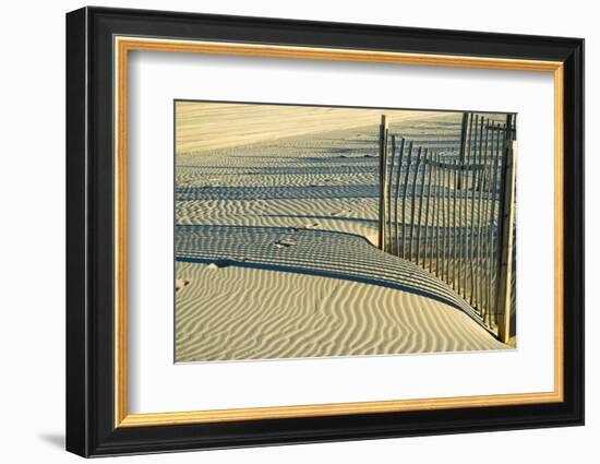 North Carolina. Dune Fence, Light, Shadow and Ripples in the Sand-Rona Schwarz-Framed Photographic Print