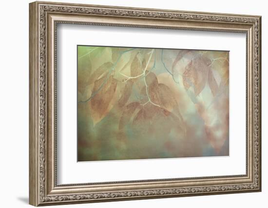 North Carolina, Great Smoky Mountains. Impressionistic Detail of Fall Leaves-Jaynes Gallery-Framed Photographic Print