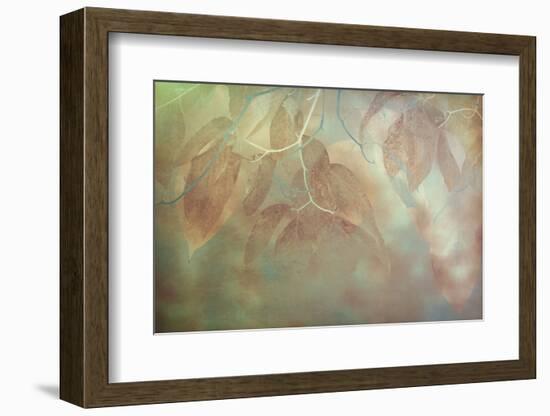 North Carolina, Great Smoky Mountains. Impressionistic Detail of Fall Leaves-Jaynes Gallery-Framed Photographic Print