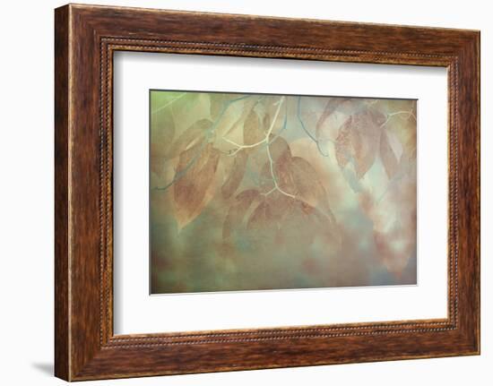 North Carolina, Great Smoky Mountains. Impressionistic Detail of Fall Leaves-Jaynes Gallery-Framed Photographic Print