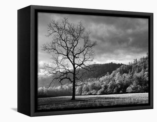 North Carolina, Great Smoky Mountains National Park, Storm Clearing at Dawn in Cataloochee Valley-Ann Collins-Framed Premier Image Canvas