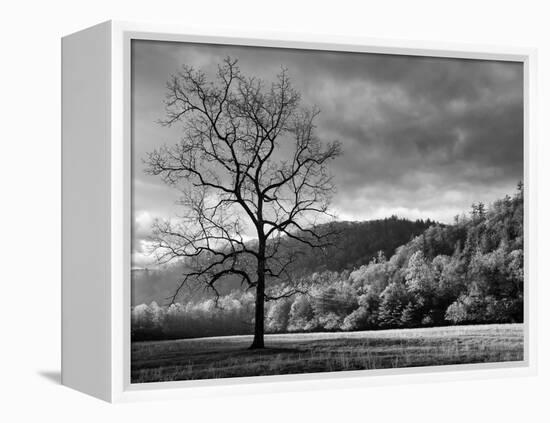 North Carolina, Great Smoky Mountains National Park, Storm Clearing at Dawn in Cataloochee Valley-Ann Collins-Framed Premier Image Canvas