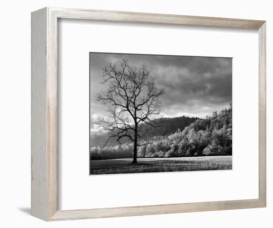 North Carolina, Great Smoky Mountains National Park, Storm Clearing at Dawn in Cataloochee Valley-Ann Collins-Framed Photographic Print