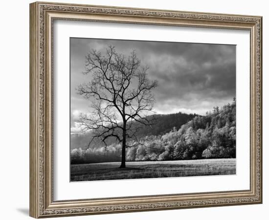 North Carolina, Great Smoky Mountains National Park, Storm Clearing at Dawn in Cataloochee Valley-Ann Collins-Framed Photographic Print