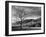 North Carolina, Great Smoky Mountains National Park, Storm Clearing at Dawn in Cataloochee Valley-Ann Collins-Framed Photographic Print