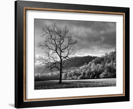 North Carolina, Great Smoky Mountains National Park, Storm Clearing at Dawn in Cataloochee Valley-Ann Collins-Framed Photographic Print