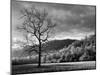 North Carolina, Great Smoky Mountains National Park, Storm Clearing at Dawn in Cataloochee Valley-Ann Collins-Mounted Photographic Print