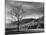 North Carolina, Great Smoky Mountains National Park, Storm Clearing at Dawn in Cataloochee Valley-Ann Collins-Mounted Photographic Print