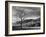 North Carolina, Great Smoky Mountains National Park, Storm Clearing at Dawn in Cataloochee Valley-Ann Collins-Framed Photographic Print