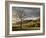 North Carolina, Great Smoky Mountains National Park, Storm Clearing at Dawn in Cataloochee Valley-Ann Collins-Framed Photographic Print