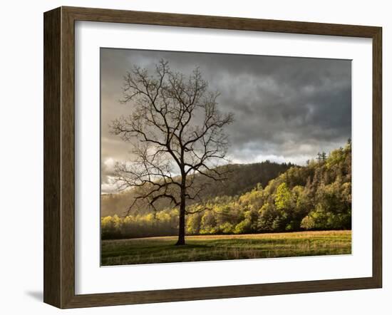 North Carolina, Great Smoky Mountains National Park, Storm Clearing at Dawn in Cataloochee Valley-Ann Collins-Framed Photographic Print