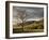 North Carolina, Great Smoky Mountains National Park, Storm Clearing at Dawn in Cataloochee Valley-Ann Collins-Framed Photographic Print