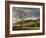 North Carolina, Great Smoky Mountains National Park, Storm Clearing at Dawn in Cataloochee Valley-Ann Collins-Framed Photographic Print