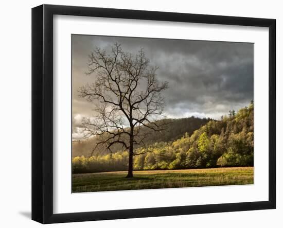 North Carolina, Great Smoky Mountains National Park, Storm Clearing at Dawn in Cataloochee Valley-Ann Collins-Framed Photographic Print