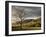 North Carolina, Great Smoky Mountains National Park, Storm Clearing at Dawn in Cataloochee Valley-Ann Collins-Framed Photographic Print