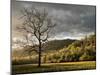 North Carolina, Great Smoky Mountains National Park, Storm Clearing at Dawn in Cataloochee Valley-Ann Collins-Mounted Photographic Print