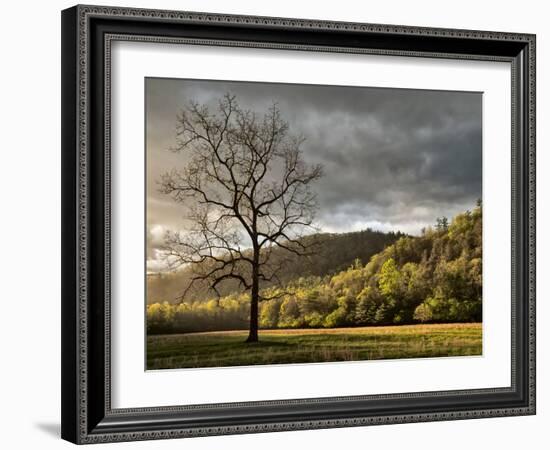 North Carolina, Great Smoky Mountains National Park, Storm Clearing at Dawn in Cataloochee Valley-Ann Collins-Framed Photographic Print