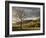 North Carolina, Great Smoky Mountains National Park, Storm Clearing at Dawn in Cataloochee Valley-Ann Collins-Framed Photographic Print