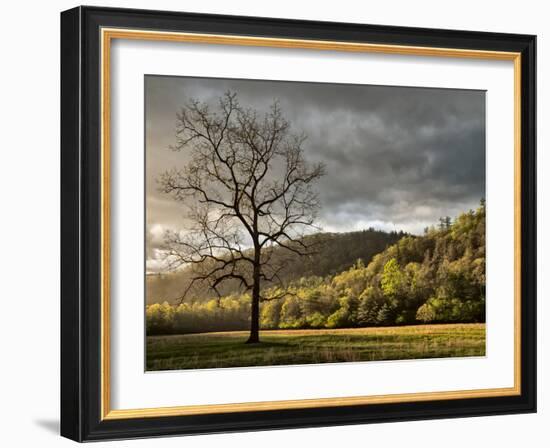 North Carolina, Great Smoky Mountains National Park, Storm Clearing at Dawn in Cataloochee Valley-Ann Collins-Framed Photographic Print