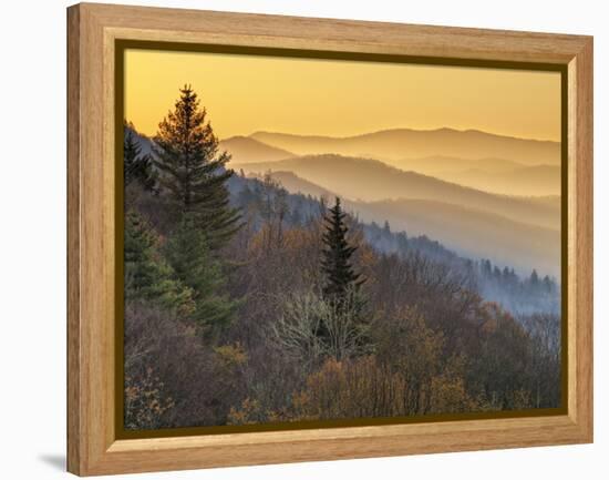 North Carolina, Great Smoky Mountains National Park, Sunrise from the Oconaluftee Valley Overlook-Ann Collins-Framed Premier Image Canvas