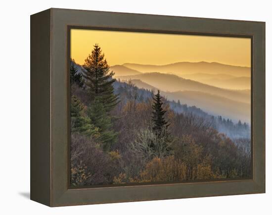 North Carolina, Great Smoky Mountains National Park, Sunrise from the Oconaluftee Valley Overlook-Ann Collins-Framed Premier Image Canvas