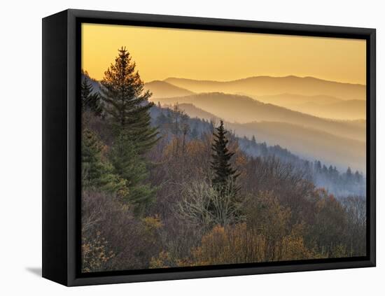 North Carolina, Great Smoky Mountains National Park, Sunrise from the Oconaluftee Valley Overlook-Ann Collins-Framed Premier Image Canvas