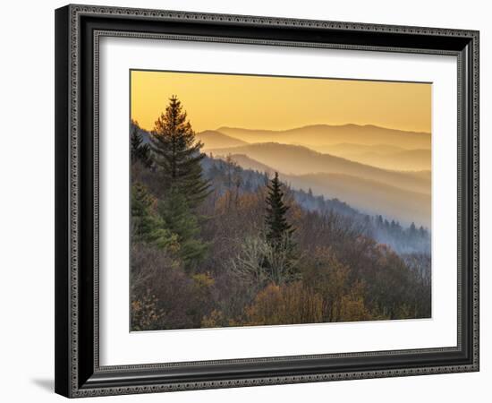 North Carolina, Great Smoky Mountains National Park, Sunrise from the Oconaluftee Valley Overlook-Ann Collins-Framed Photographic Print