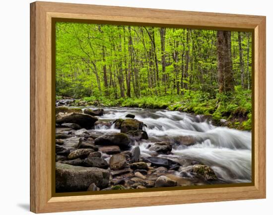 North Carolina, Great Smoky Mountains National Park, Water Flows at Straight Fork Near Cherokee-Ann Collins-Framed Premier Image Canvas