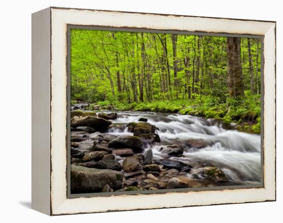 North Carolina, Great Smoky Mountains National Park, Water Flows at Straight Fork Near Cherokee-Ann Collins-Framed Premier Image Canvas