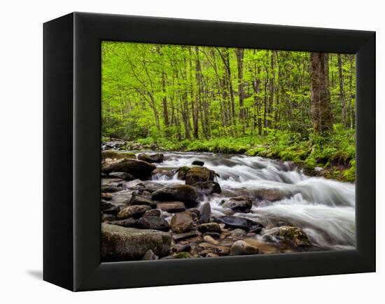 North Carolina, Great Smoky Mountains National Park, Water Flows at Straight Fork Near Cherokee-Ann Collins-Framed Premier Image Canvas