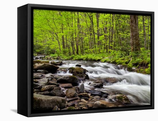 North Carolina, Great Smoky Mountains National Park, Water Flows at Straight Fork Near Cherokee-Ann Collins-Framed Premier Image Canvas