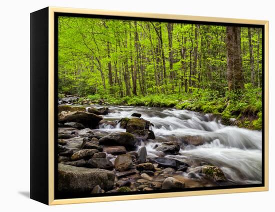 North Carolina, Great Smoky Mountains National Park, Water Flows at Straight Fork Near Cherokee-Ann Collins-Framed Premier Image Canvas