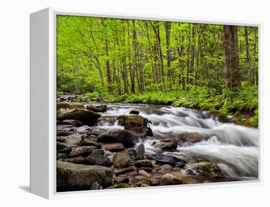 North Carolina, Great Smoky Mountains National Park, Water Flows at Straight Fork Near Cherokee-Ann Collins-Framed Premier Image Canvas