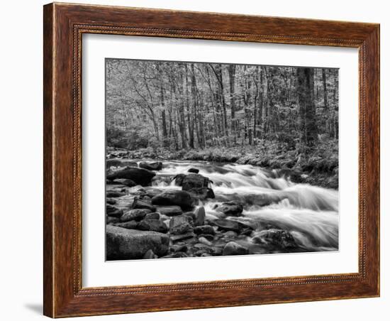 North Carolina, Great Smoky Mountains National Park, Water Flows at Straight Fork Near Cherokee-Ann Collins-Framed Photographic Print