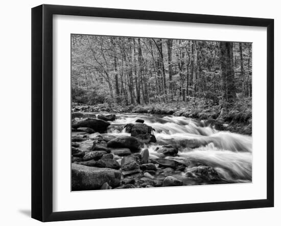 North Carolina, Great Smoky Mountains National Park, Water Flows at Straight Fork Near Cherokee-Ann Collins-Framed Photographic Print