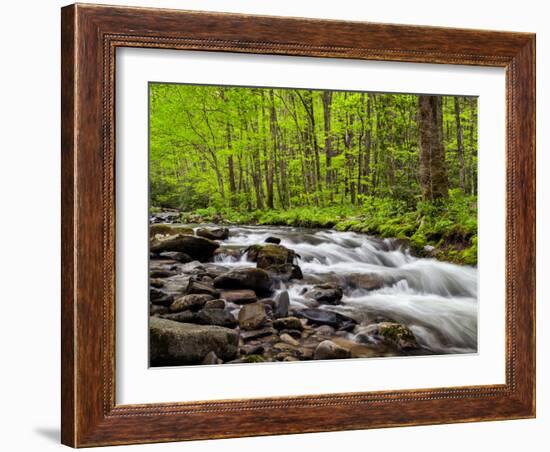 North Carolina, Great Smoky Mountains National Park, Water Flows at Straight Fork Near Cherokee-Ann Collins-Framed Photographic Print