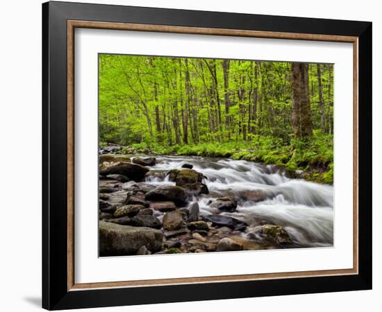 North Carolina, Great Smoky Mountains National Park, Water Flows at Straight Fork Near Cherokee-Ann Collins-Framed Photographic Print