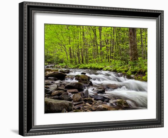 North Carolina, Great Smoky Mountains National Park, Water Flows at Straight Fork Near Cherokee-Ann Collins-Framed Photographic Print