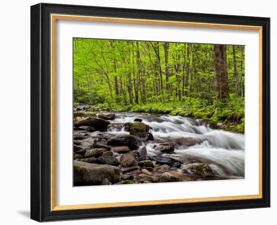 North Carolina, Great Smoky Mountains National Park, Water Flows at Straight Fork Near Cherokee-Ann Collins-Framed Photographic Print