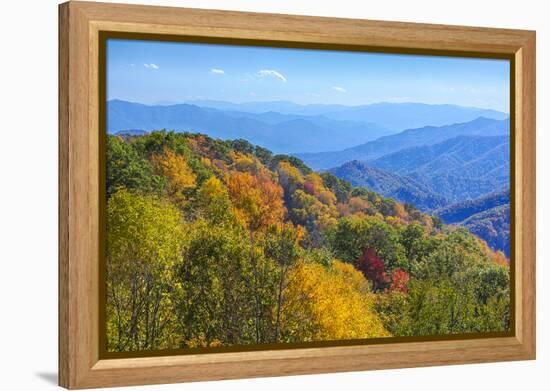 North Carolina, Great Smoky Mountains NP, View from Newfound Gap Road-Jamie & Judy Wild-Framed Premier Image Canvas
