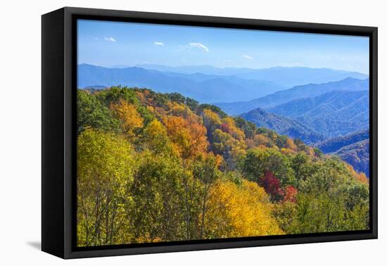 North Carolina, Great Smoky Mountains NP, View from Newfound Gap Road-Jamie & Judy Wild-Framed Premier Image Canvas