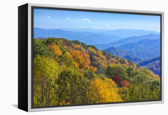 North Carolina, Great Smoky Mountains NP, View from Newfound Gap Road-Jamie & Judy Wild-Framed Premier Image Canvas