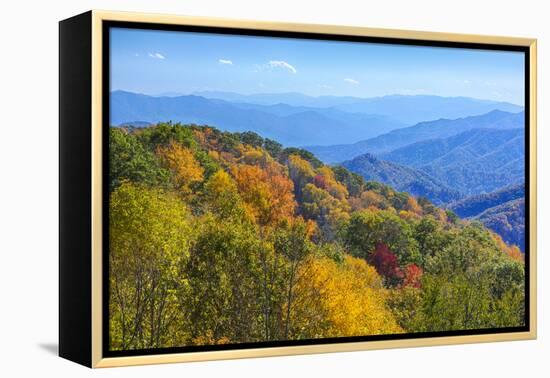 North Carolina, Great Smoky Mountains NP, View from Newfound Gap Road-Jamie & Judy Wild-Framed Premier Image Canvas