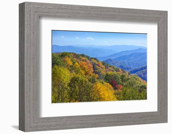 North Carolina, Great Smoky Mountains NP, View from Newfound Gap Road-Jamie & Judy Wild-Framed Photographic Print