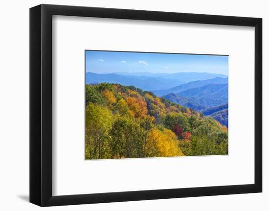 North Carolina, Great Smoky Mountains NP, View from Newfound Gap Road-Jamie & Judy Wild-Framed Photographic Print