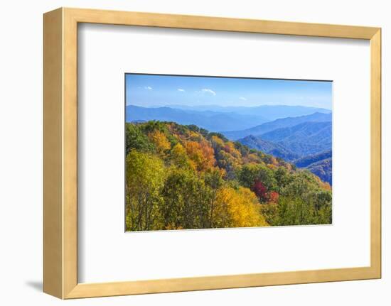 North Carolina, Great Smoky Mountains NP, View from Newfound Gap Road-Jamie & Judy Wild-Framed Photographic Print