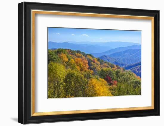 North Carolina, Great Smoky Mountains NP, View from Newfound Gap Road-Jamie & Judy Wild-Framed Photographic Print