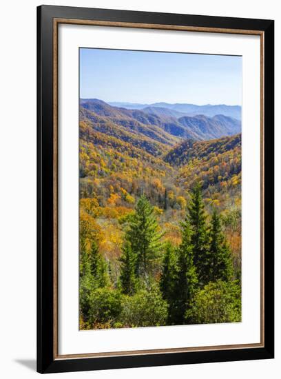 North Carolina, Great Smoky Mountains NP, View from Newfound Gap Road-Jamie & Judy Wild-Framed Photographic Print