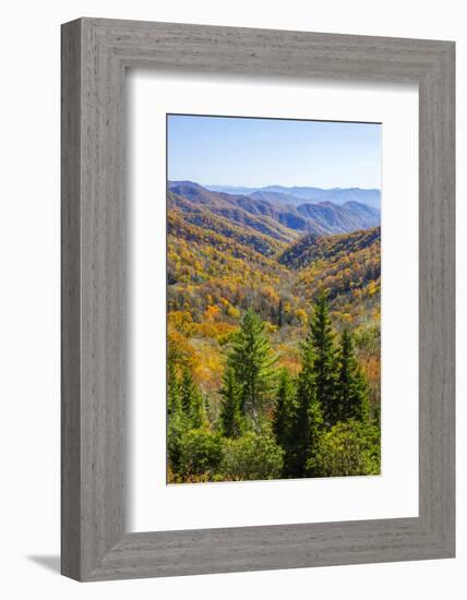 North Carolina, Great Smoky Mountains NP, View from Newfound Gap Road-Jamie & Judy Wild-Framed Photographic Print