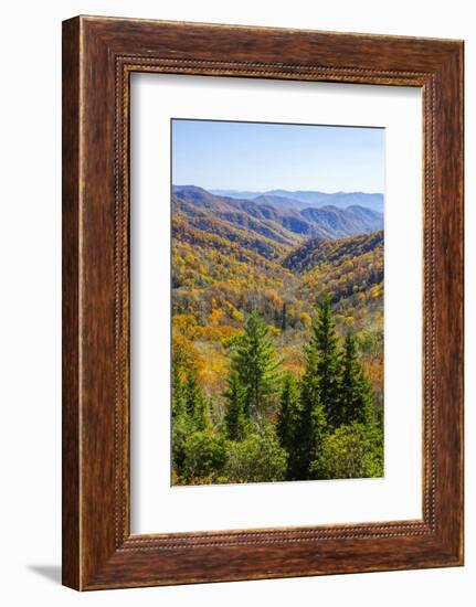 North Carolina, Great Smoky Mountains NP, View from Newfound Gap Road-Jamie & Judy Wild-Framed Photographic Print